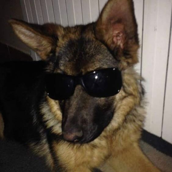 Site hosted by Neocities